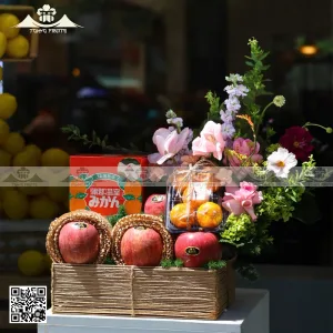 hộp quà trái cây đẹp