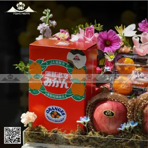 hộp quà trái cây đẹp