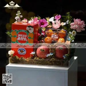hộp quà trái cây đẹp