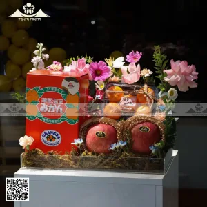 hộp quà trái cây đẹp
