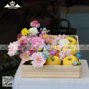 hộp quà trái cây đẹp