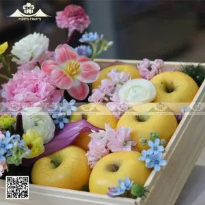 hộp quà trái cây