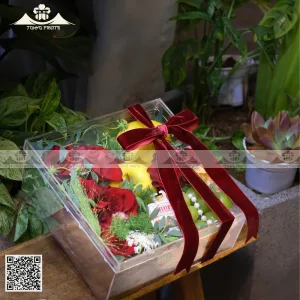 hộp quà trái cây xịn