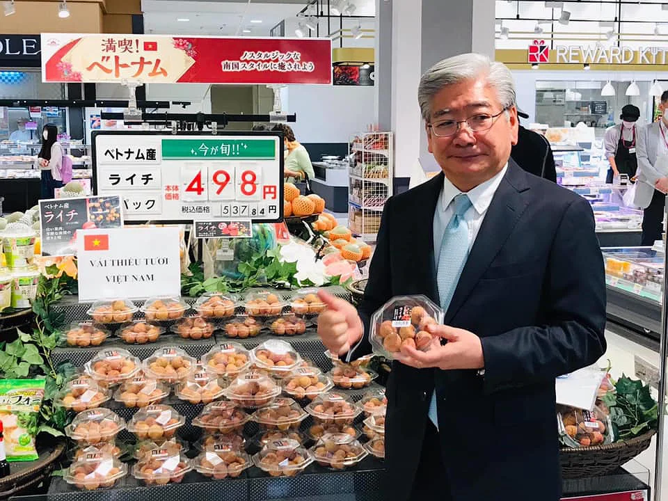 Tokyo Fruits